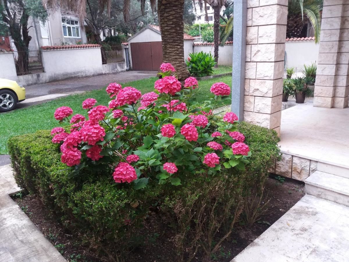 Апартаменты GarniHotel Bravo Будва-25