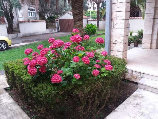 Апартаменты GarniHotel Bravo Будва-24